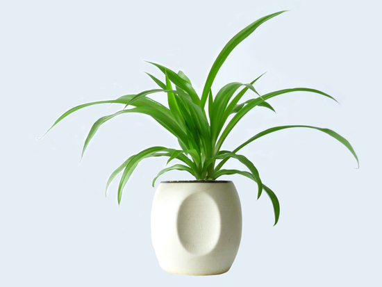 风水中的人生十戒